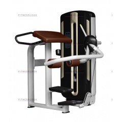 Грузоблочный тренажер Bronze Gym MNM-016A - ягодичные мышцы в СПб по цене 219900 ₽