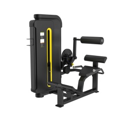 Svensson Industrial H3031 Matte Black Разгибание спины из каталога грузоблочных тренажеров в Санкт-Петербурге по цене 70400 ₽