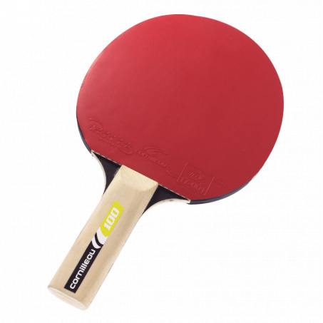 Рендер-2 для Cornilleau Sport 100