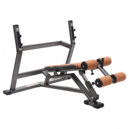 Рендер-0 для FitWorld FW-0630 с отрицательным углом