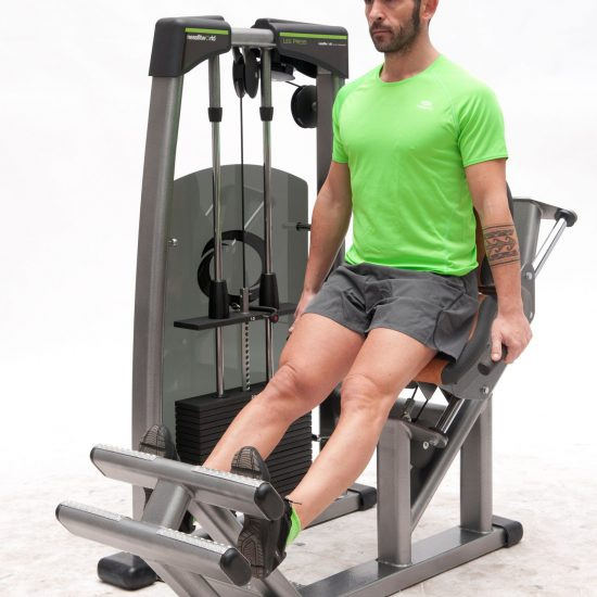 FitWorld FW-1800 Икроножные сидя упражнения на - мышцы ног