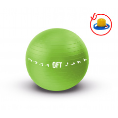 Original FitTools 65 см. с насосом зеленый FT-GBPRO-65GN из каталога фитболов  в Санкт-Петербурге по цене 1450 ₽