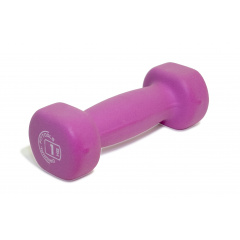 1 кг. розовый FT-NDB-1 в СПб по цене 330 ₽ в категории обрезиненные гантели Original FitTools