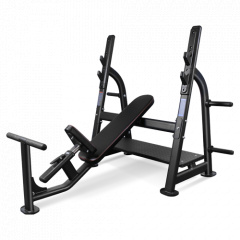 Bronze Gym BR-1014 наклонная из каталога скамей со стойкой в Санкт-Петербурге по цене 120990 ₽