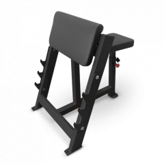 Bronze Gym AL-303 из каталога скамей Скотта в Санкт-Петербурге по цене 49890 ₽