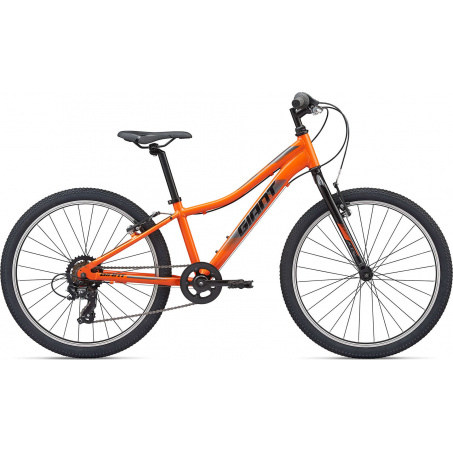Велосипед Giant XTC JR 24 LITE (2021)