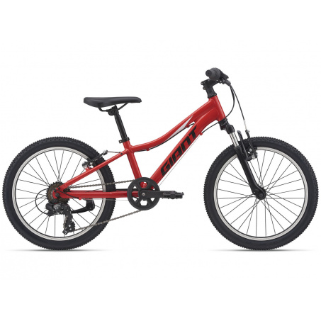 Велосипед Giant XTC JR 20 (2021)