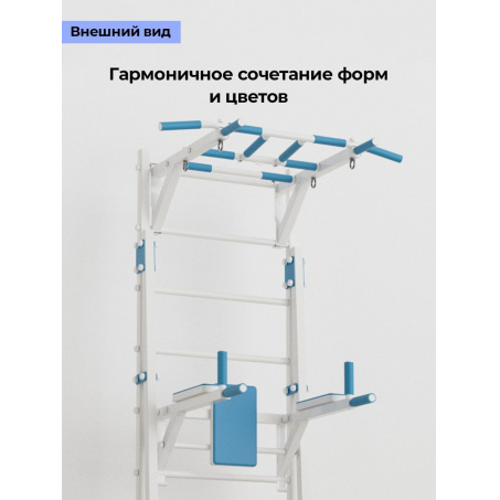 Рендер-2 для BarFits New Age X1 Premium line  (с опорой на пол)