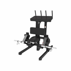 UltraGym UG-714 из каталога тренажеров на свободных весах в Санкт-Петербурге по цене 127080 ₽