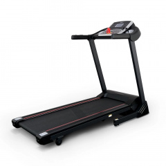 74305B в СПб по цене 57950 ₽ в категории беговые дорожки Everyfit