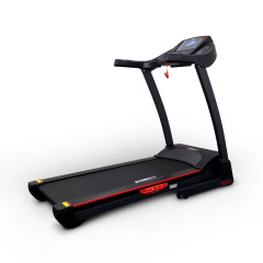 74500B в СПб по цене 94870 ₽ в категории беговые дорожки Everyfit