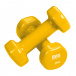 Bronze Gym виниловая 2 кг (пара) вес, кг - 5