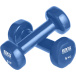 Bronze Gym виниловая 5 кг (пара) вес, кг - 5