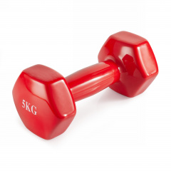 VictoryFit 5 кг. 1 шт. VF-DV050 из каталога виниловых гантелей в Санкт-Петербурге по цене 1640 ₽