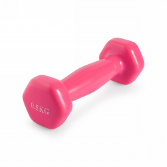 VictoryFit 0,5 кг. 1 шт. VF-DV005 из каталога виниловых гантелей в Санкт-Петербурге по цене 320 ₽