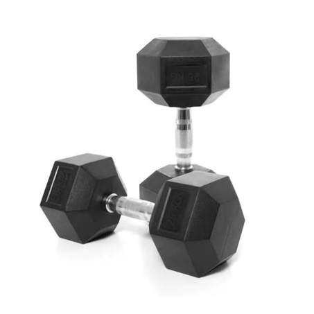 Рендер-0 для VictoryFit гексагональная VF-H250 (25 кг) 1 шт.