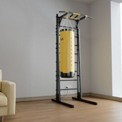 New Age GR1 Premium line в СПб по цене 48246 ₽ в категории шведские стенки BarFits