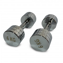 UnixFit PRO круглая 6 кг DBRND6PCE из каталога хромированных гантелей в Санкт-Петербурге по цене 2810 ₽