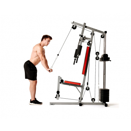 Рендер-3 для DFC HomeGym D7000-60 / стек 60 кг