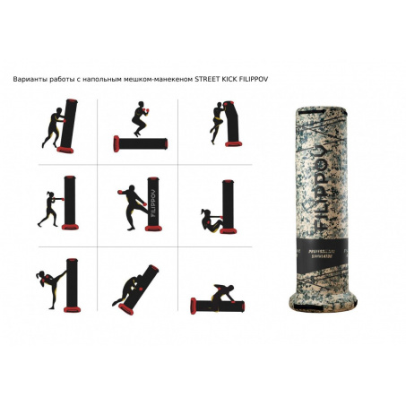Рендер-1 для Century STREET KICK FILIPPOV d45см
