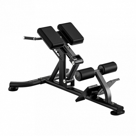 Рендер-0 для Bronze Gym RAVE RE52