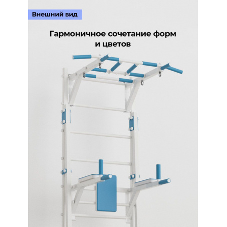Рендер-4 для BarFits с рукоходом New Age X4 (с опорой на пол) - Premium line