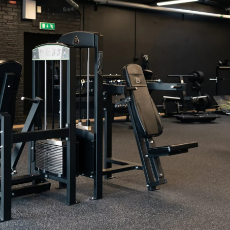 Рендер-2 для Gymleco 330 Плечевой жим