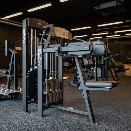 Рендер-3 для Gymleco 331 Дельт-машина