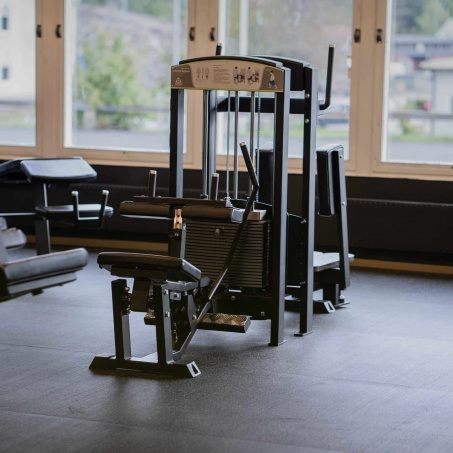 Рендер-3 для Gymleco 345 Голень сидя