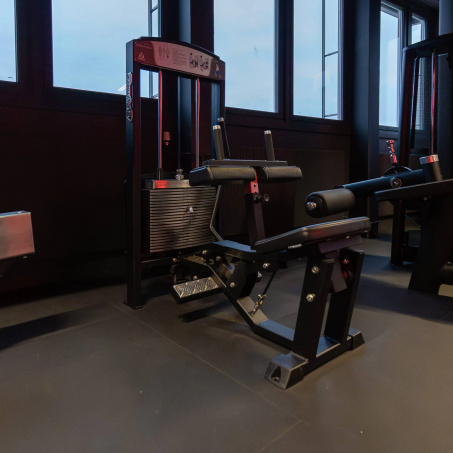 Рендер-2 для Gymleco 345 Голень сидя