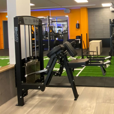 Рендер-6 для Gymleco 350 Бицепс сидя