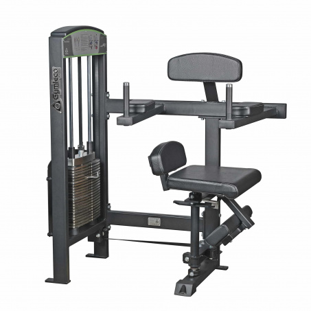 Рендер-1 для Gymleco 375 Вращение торса