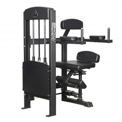 Gymleco 375 Вращение торса - фото 1