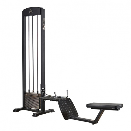 Рендер-0 для Gymleco 210 Нижняя тяга