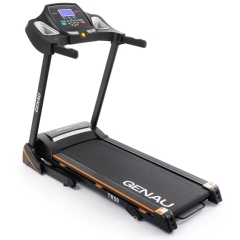TR50 в СПб по цене 47290 ₽ в категории беговые дорожки Genau