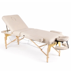 DFC PROFI3 TS312H складной из каталога складных массажных столов в Санкт-Петербурге по цене 33990 ₽