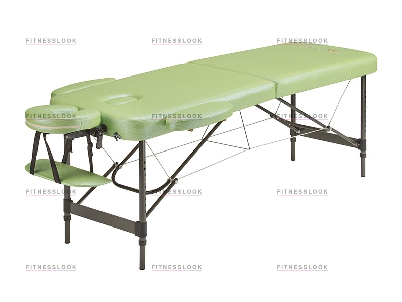 Mint в СПб по цене 18000 ₽ в категории складные массажные столы Anatomico