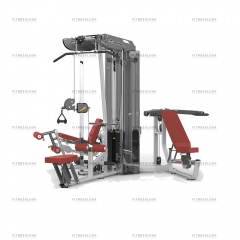 AeroFit ES3000+ES3000OPT с тяговой колонной из каталога мультистанций в Санкт-Петербурге по цене 549318 ₽