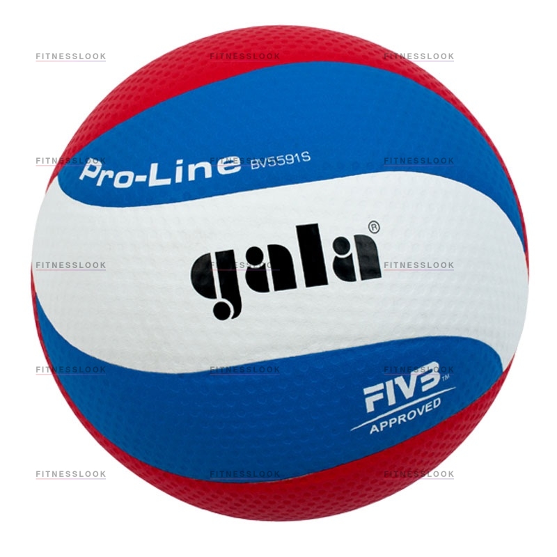 Gala Pro-line из каталога баскетбольных мячей в Санкт-Петербурге по цене 3030 ₽