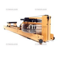 Natural в СПб по цене 189720 ₽ в категории гребные тренажеры Waterrower