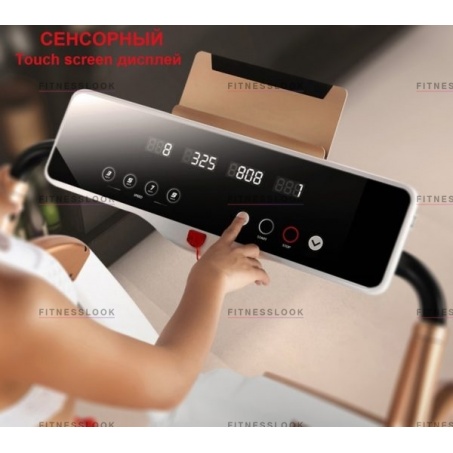 Рендер-2 для Evo Fitness Cosmo 5